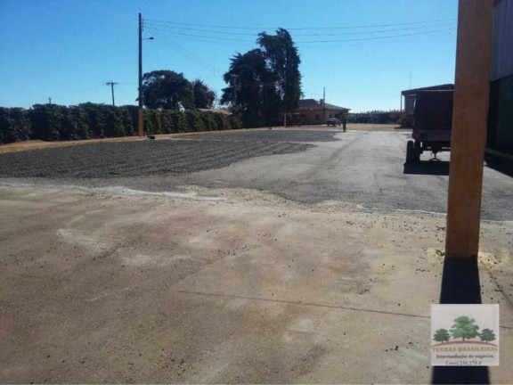 Imagem Fazenda à Venda, 2.000 m² em Centro - Campanha Imagem Fazenda à Venda, 2.000 m² em Centro - Campanha