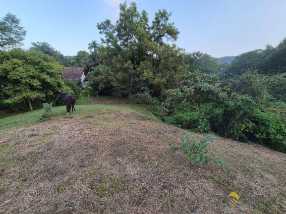 Imagem Chácara com 3 Quartos à Venda, 140 m² em Velha Central - Blumenau Imagem Chácara com 3 Quartos à Venda, 140 m² em Velha Central - Blumenau