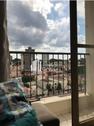 Imagem Apartamento com 2 Quartos à Venda, 58 m² em Vila Nova - Campinas Imagem Apartamento com 2 Quartos à Venda, 58 m² em Vila Nova - Campinas