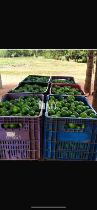 Imagem Fazenda à Venda, 130 m² em Centro - Uchoa
