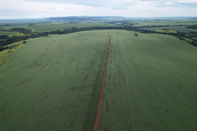 Imagem Fazenda à Venda, 160 m² em Zona Rural - Rio Verde