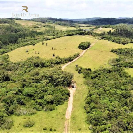 Imagem Chácara à Venda, 5.000 m² em Fiuza - Viamão Imagem Chácara à Venda, 5.000 m² em Fiuza - Viamão