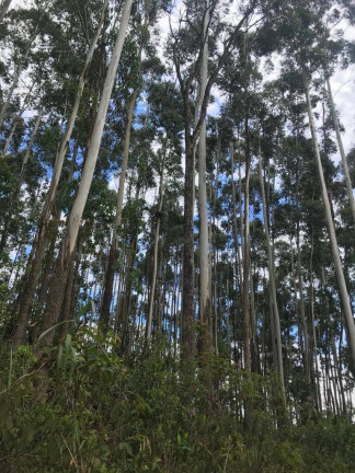 Imagem Terreno à Venda, 21.482 m² em Castanho - Jundiaí