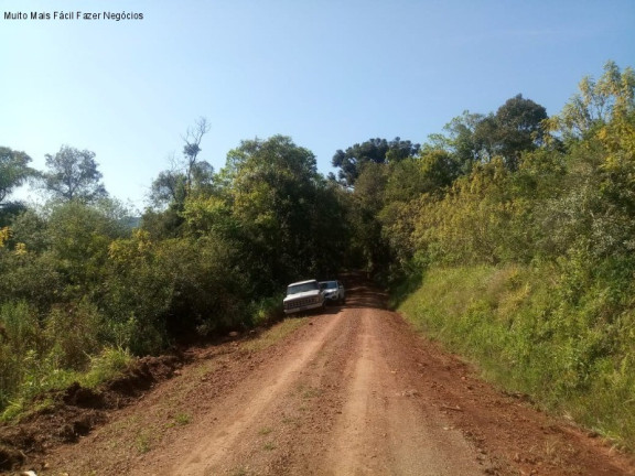 Imagem Terreno à Venda, 2 m² em Linha Temerária - Nova Petrópolis