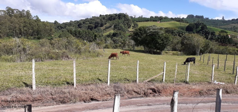 Imagem Imóvel à Venda, 10.000 m² em Centro - Campestre Imagem Imóvel à Venda, 10.000 m² em Centro - Campestre