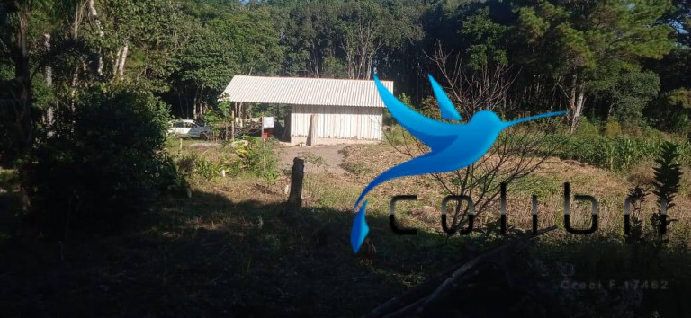 Imagem Chácara com 2 Quartos à Venda, 6.655 m² em Taboão - Agudos Do Sul