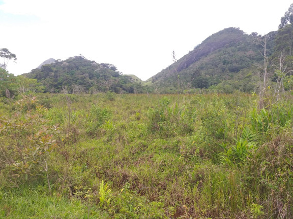 Imagem Fazenda à Venda, 9.790.000 m² em Centro - Trajano De Morais