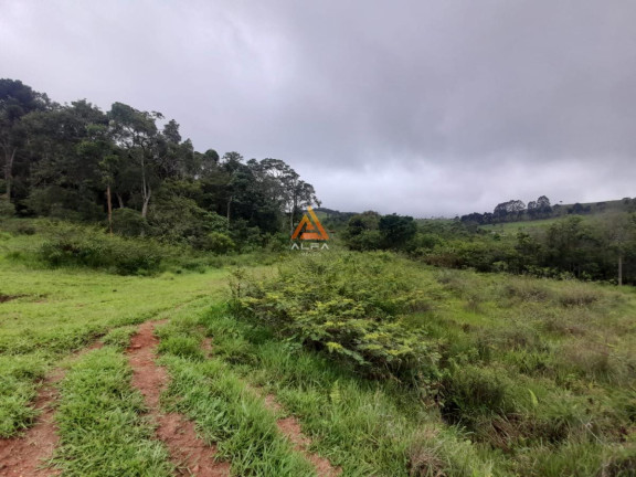 Imagem Fazenda à Venda, 540 m² em Antônio Carlos