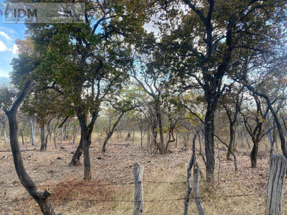 Imagem Chácara à Venda, 49.500.000 m² em Centro - Buritizeiro Imagem Chácara à Venda, 49.500.000 m² em Centro - Buritizeiro