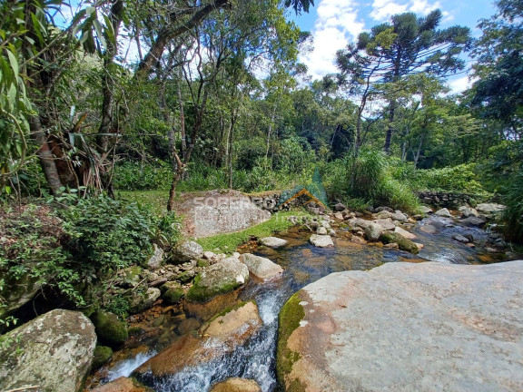 Imagem Imóvel com 4 Quartos à Venda, 110.000 m² em Vargem Grande - Teresópolis