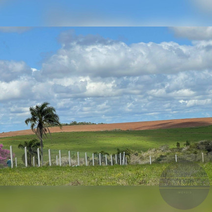 Imagem Terreno à Venda, 1 m² em Gravataí Imagem Terreno à Venda, 1 m² em Gravataí
