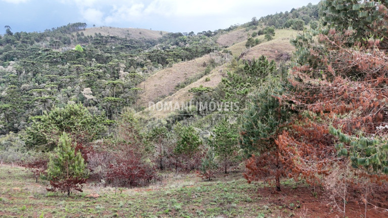 Imagem Terreno à Venda, 1.800 m² em Região De Descansópolis - Campos Do Jordão Imagem Terreno à Venda, 1.800 m² em Região De Descansópolis - Campos Do Jordão