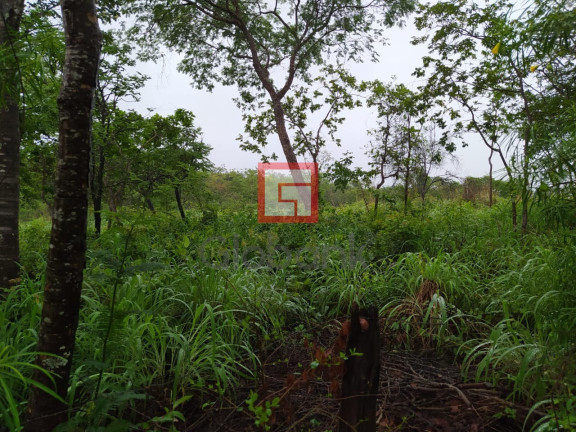 Imagem Imóvel com 3 Quartos à Venda,  em Zona Rural - Montes Claros