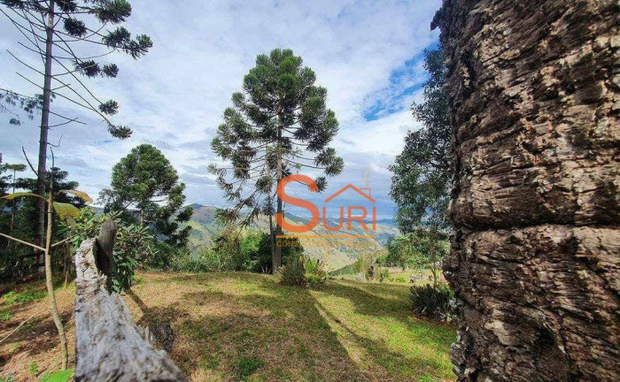 Imagem Terreno à Venda, 140.000 m² em Centro - Silveiras Imagem Terreno à Venda, 140.000 m² em Centro - Silveiras