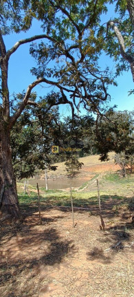 Imagem Imóvel com 3 Quartos à Venda, 532.400 m² em Itaqueri Da Serra - Itirapina