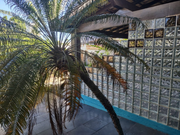 Imagem Casa com 6 Quartos à Venda, 700 m² em Piatã - Salvador Imagem Casa com 6 Quartos à Venda, 700 m² em Piatã - Salvador