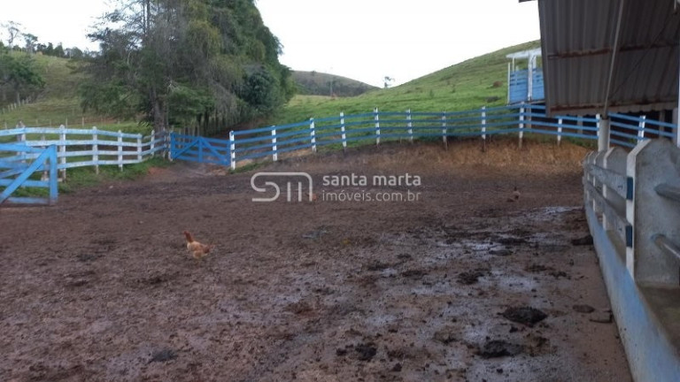 Imagem Imóvel com 5 Quartos à Venda, 375 m² em Pinhal Novo - Lorena