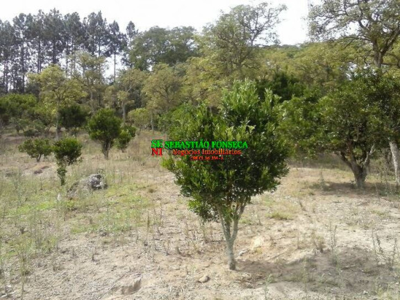 Imagem Chácara à Venda, 33.880 m² em Centro - Paraibuna Imagem Chácara à Venda, 33.880 m² em Centro - Paraibuna