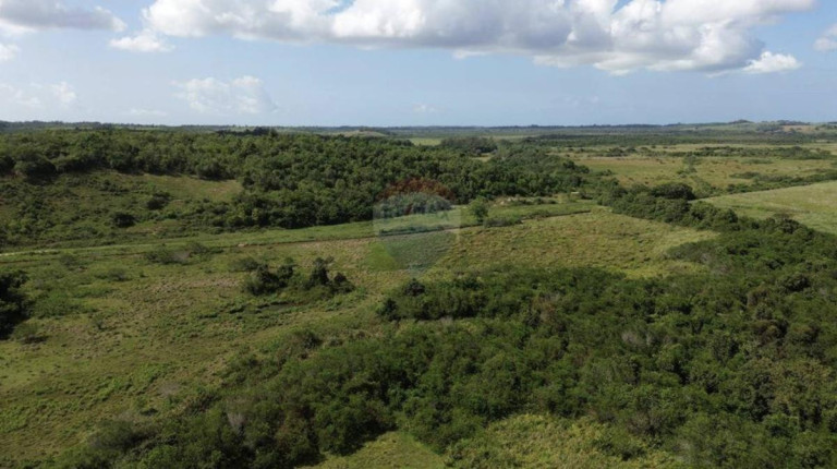 Imagem Fazenda à Venda, 1.449.875 m² em Zona Rural - Anchieta Imagem Fazenda à Venda, 1.449.875 m² em Zona Rural - Anchieta