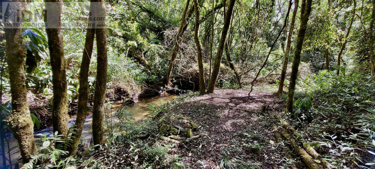 Imagem Chácara à Venda, 1.236.000 m² em Centro - Santo Antônio Do Pinhal Imagem Chácara à Venda, 1.236.000 m² em Centro - Santo Antônio Do Pinhal