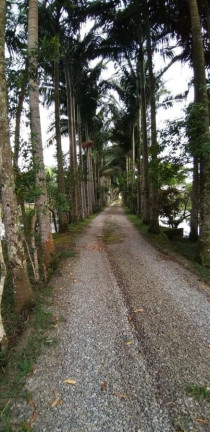 Imagem Chácara à Venda, 5 m² em Pinheiros - Balneário Barra Do Sul Imagem Chácara à Venda, 5 m² em Pinheiros - Balneário Barra Do Sul