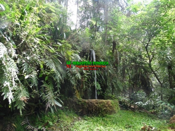 Imagem Chácara com 3 Quartos à Venda, 128.000 m² em São Francisco Xavier - São José Dos Campos