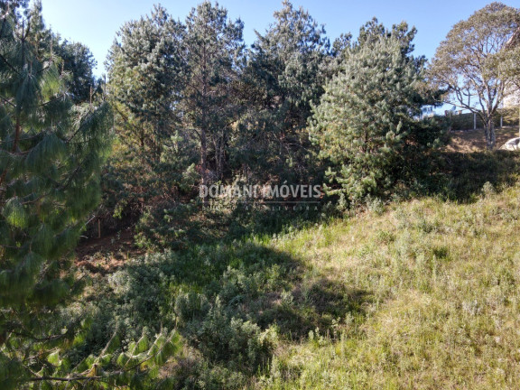 Terreno à Venda, 1.215 m² em Região Do Alto Da Boa Vista - Campos Do Jordão