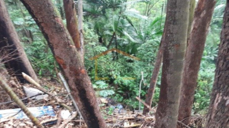 Imagem Terreno à Venda, 3.351 m² em Tucuruvi - São Paulo Imagem Terreno à Venda, 3.351 m² em Tucuruvi - São Paulo