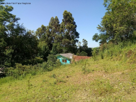 Imagem Terreno à Venda, 3.500 m² em Piá - Nova Petrópolis Imagem Terreno à Venda, 3.500 m² em Piá - Nova Petrópolis