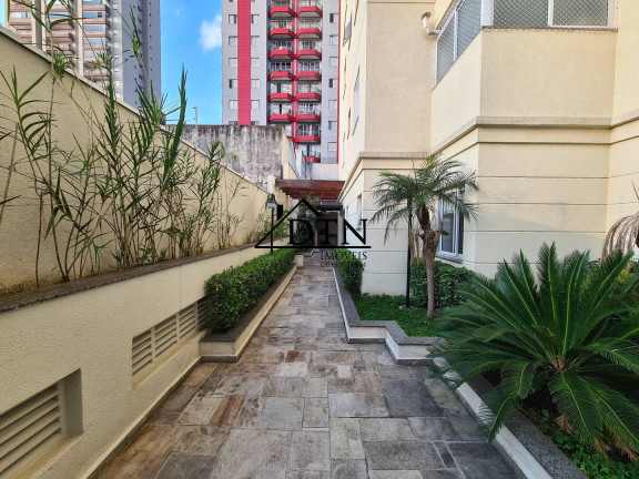 Imagem Apartamento com 3 Quartos à Venda, 77 m² em Vila Guilherme - São Paulo Imagem Apartamento com 3 Quartos à Venda, 77 m² em Vila Guilherme - São Paulo