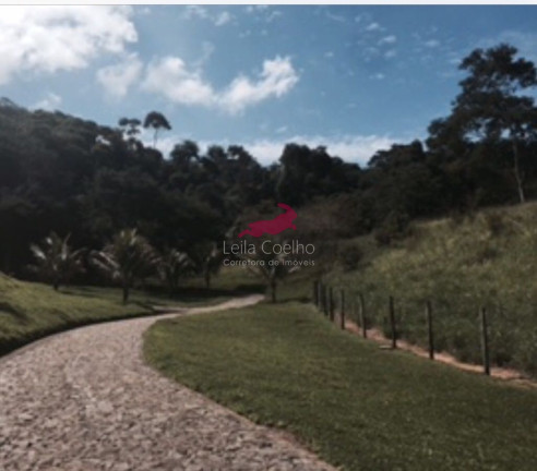 Imagem Fazenda à Venda, 400 m² em Zona Rural - Pequeri Imagem Fazenda à Venda, 400 m² em Zona Rural - Pequeri