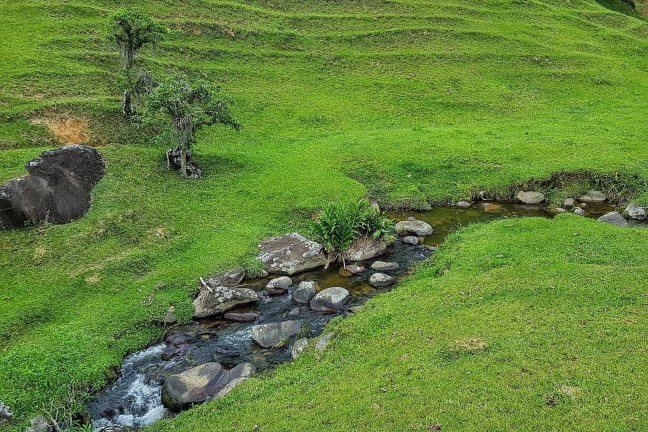 Imagem Chácara à Venda, 330 m² em Palhoça