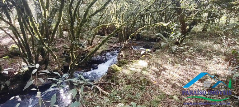 Imagem Chácara à Venda, 32 m² em Centro - Gonçalves