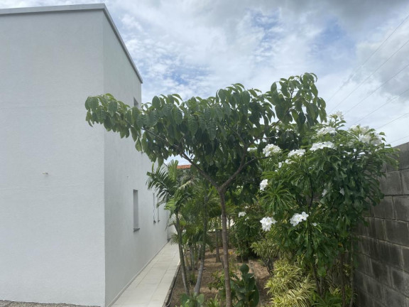 Imagem Casa com 4 Quartos à Venda, 240 m² em Icaraí - Caucaia