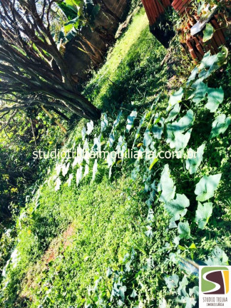 Imagem Imóvel com 3 Quartos à Venda, em Jardim Santa Hermínia - São José Dos Campos Imagem Imóvel com 3 Quartos à Venda, em Jardim Santa Hermínia - São José Dos Campos