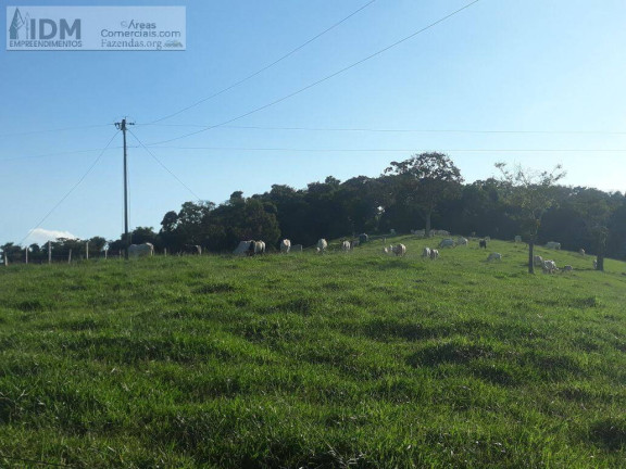 Imagem Chácara à Venda, 600.000 m² em Centro - Jacutinga Imagem Chácara à Venda, 600.000 m² em Centro - Jacutinga