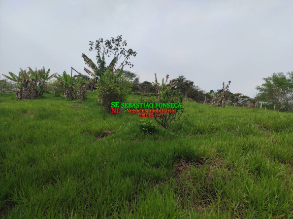 Imagem Chácara à Venda, 20.000 m² em área Rural De Caçapava - Caçapava Imagem Chácara à Venda, 20.000 m² em área Rural De Caçapava - Caçapava