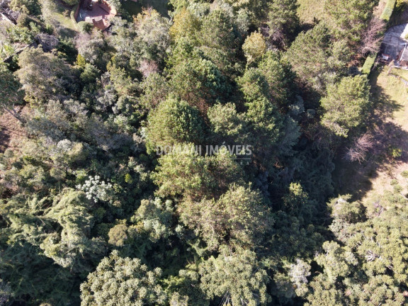 Imagem Terreno à Venda, 4.300 m² em Região Do Alto Da Boa Vista - Campos Do Jordão Imagem Terreno à Venda, 4.300 m² em Região Do Alto Da Boa Vista - Campos Do Jordão