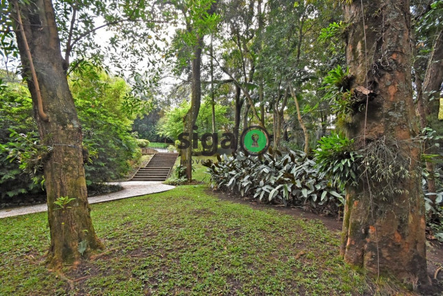 Imagem Casa com 4 Quartos à Venda, 976 m² em Cidade Jardim - São Paulo
