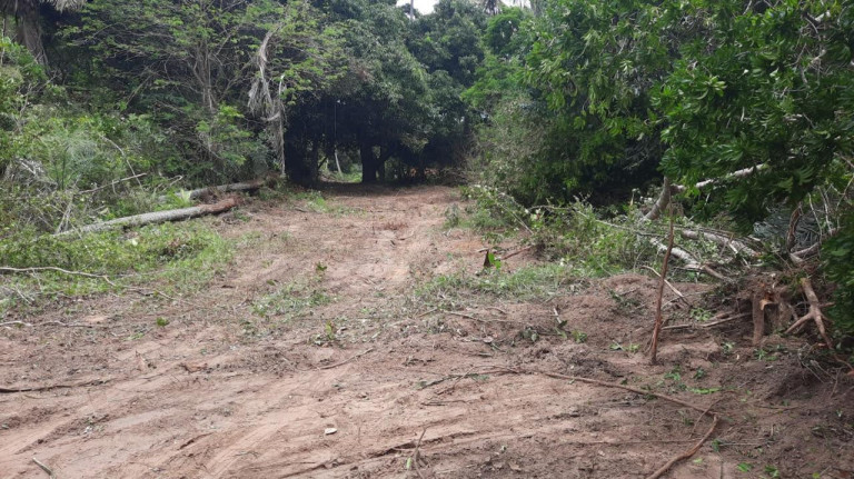 Imagem Terreno à Venda, 300 m² em Barra Do Pojuca (monte Gordo) - Camaçari