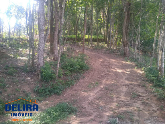 Imagem Terreno à Venda, 1 m² em Terra Preta (terra Preta) - Mairiporã Imagem Terreno à Venda, 1 m² em Terra Preta (terra Preta) - Mairiporã