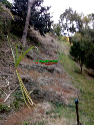 Imagem Chácara à Venda, 2.000 m² em Sob. Consulta - São José Dos Campos Imagem Chácara à Venda, 2.000 m² em Sob. Consulta - São José Dos Campos