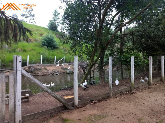 Imagem Imóvel com 3 Quartos à Venda, em Aratingauba - Forquilhinha Imagem Imóvel com 3 Quartos à Venda, em Aratingauba - Forquilhinha