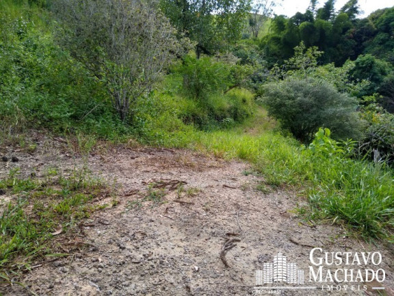 Imagem Terreno à Venda, 19.200 m² em Roma - Volta Redonda Imagem Terreno à Venda, 19.200 m² em Roma - Volta Redonda