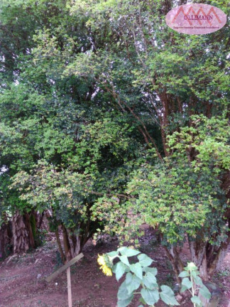 Imagem Imóvel com 2 Quartos à Venda, 54 m² em Chácaras São Judas Tadeu - Suzano