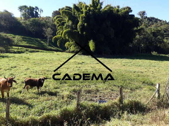 Imagem Chácara com 2 Quartos à Venda, 24 m² em Area Rural - Ouro Fino Imagem Chácara com 2 Quartos à Venda, 24 m² em Area Rural - Ouro Fino