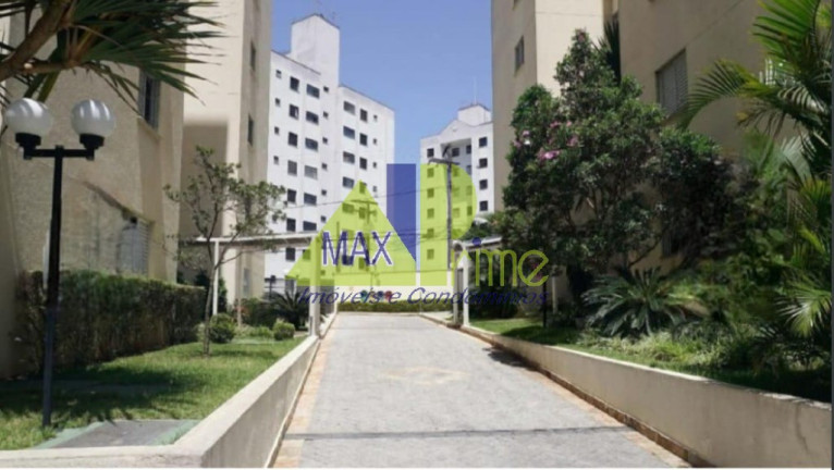 Imagem Apartamento com 3 Quartos à Venda, 65 m² em Vila Araguaia - São Paulo Imagem Apartamento com 3 Quartos à Venda, 65 m² em Vila Araguaia - São Paulo