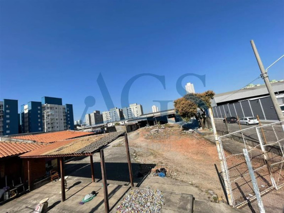 Imagem Terreno para Alugar, 350 m² em Aricanduva - São Paulo Imagem Terreno para Alugar, 350 m² em Aricanduva - São Paulo