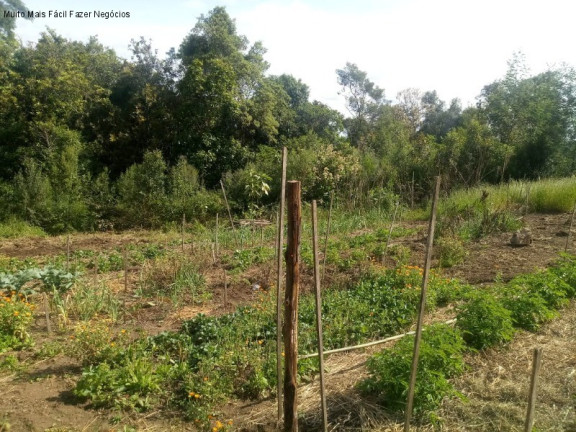 Imagem Terreno à Venda, 4 m² em Pinhal Alto - Nova Petrópolis