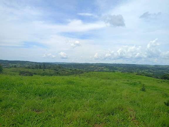 Imagem Fazenda à Venda, 63 m² em Zona Rural - Abadiânia Imagem Fazenda à Venda, 63 m² em Zona Rural - Abadiânia